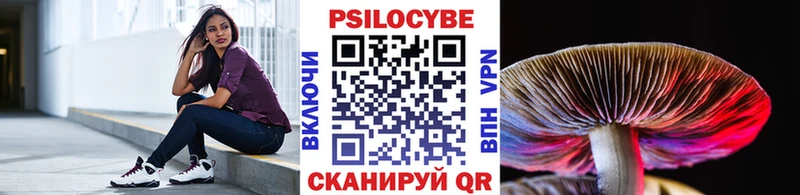 Псилоцибиновые грибы MAGIC MUSHROOMS  Купить где  Грязовец 